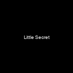 Portada Little Secret